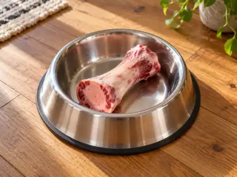 mergpijp hond voerbak
